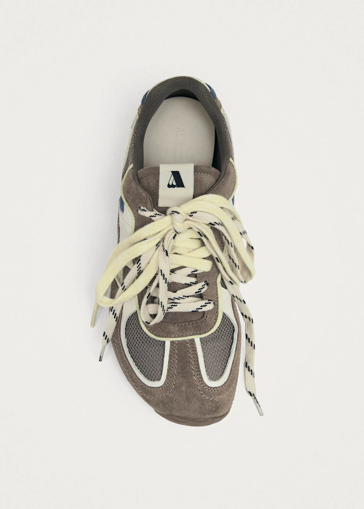 Tb.33 Taupe Leather Sneakers - Image 5